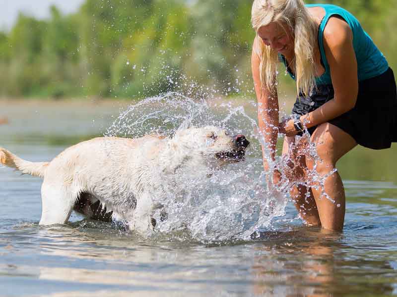 Woman and labrador retriever splashing in a river.